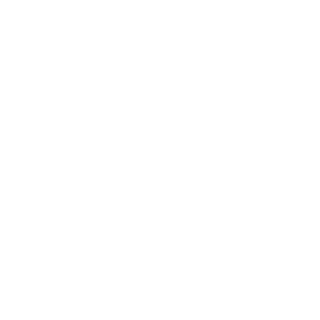 Pitstop Logo